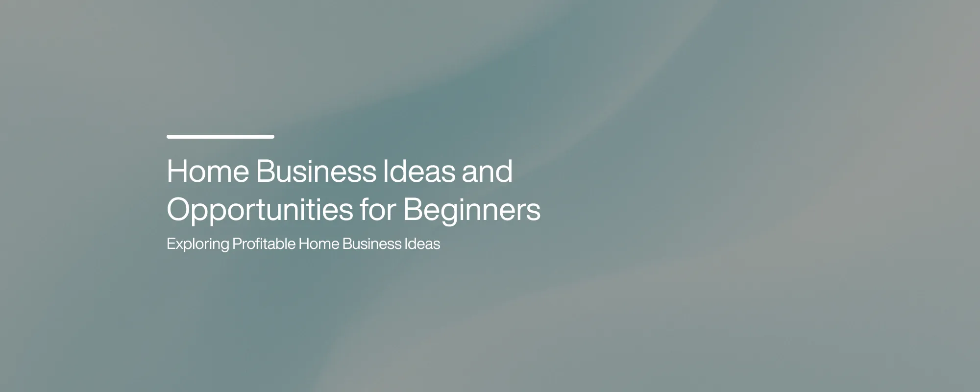 Cover image for Home Business Ideas and Opportunities for Beginners