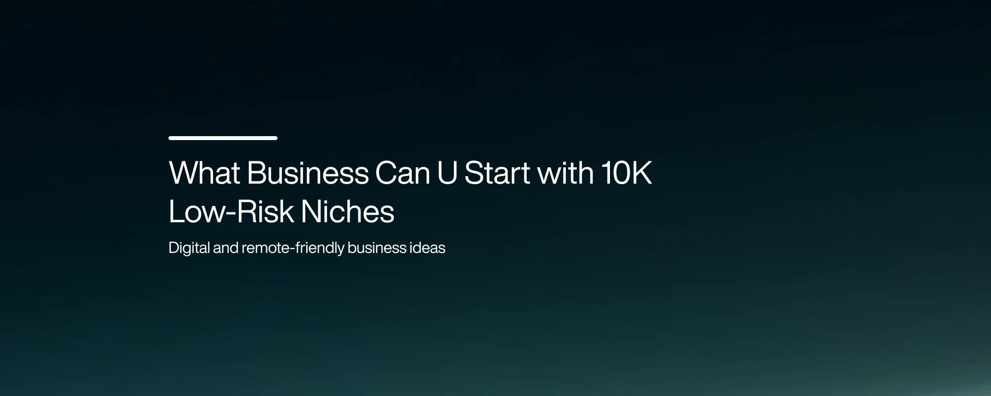 Cover image for What Business Can U Start with 10K: Low-Risk Niches