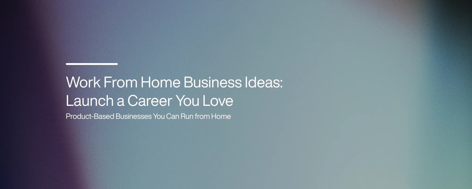 Cover image for Work From Home Business Ideas: Launch a Career You Love