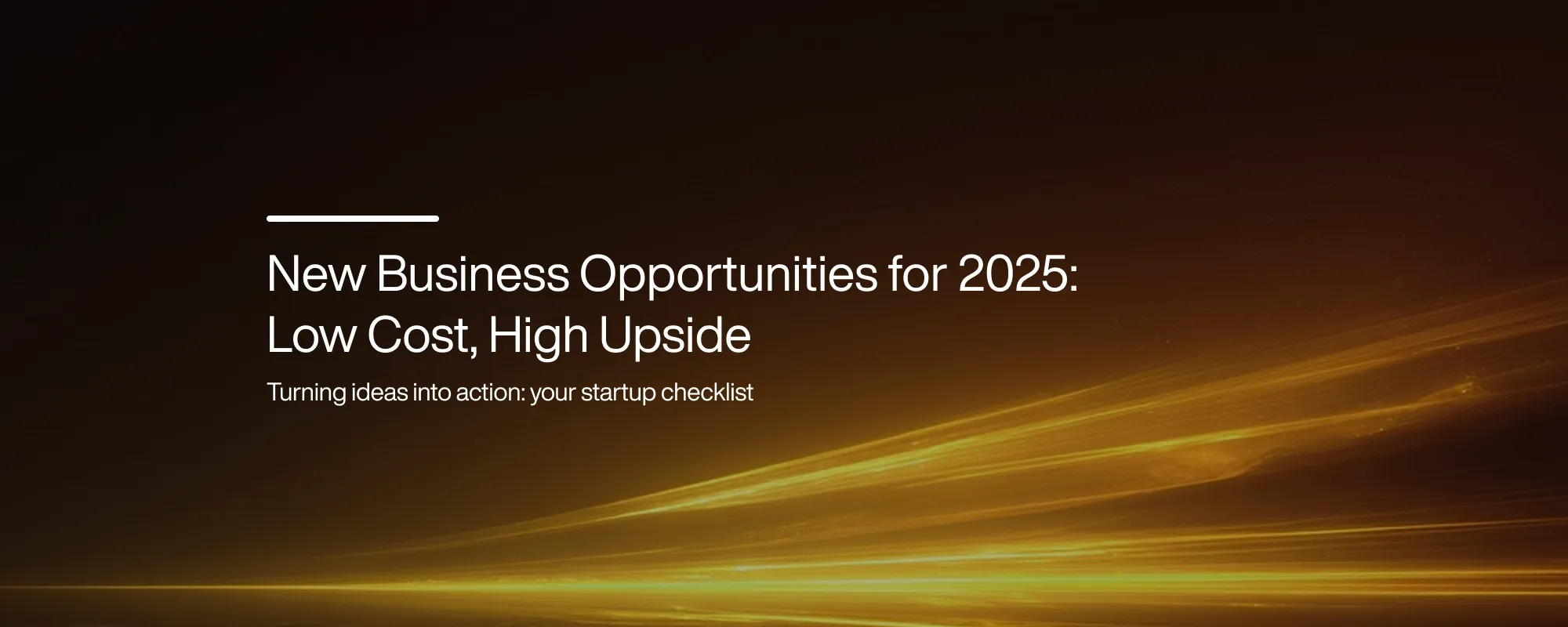 New Business Opportunities for 2025: Low Cost, High Upside