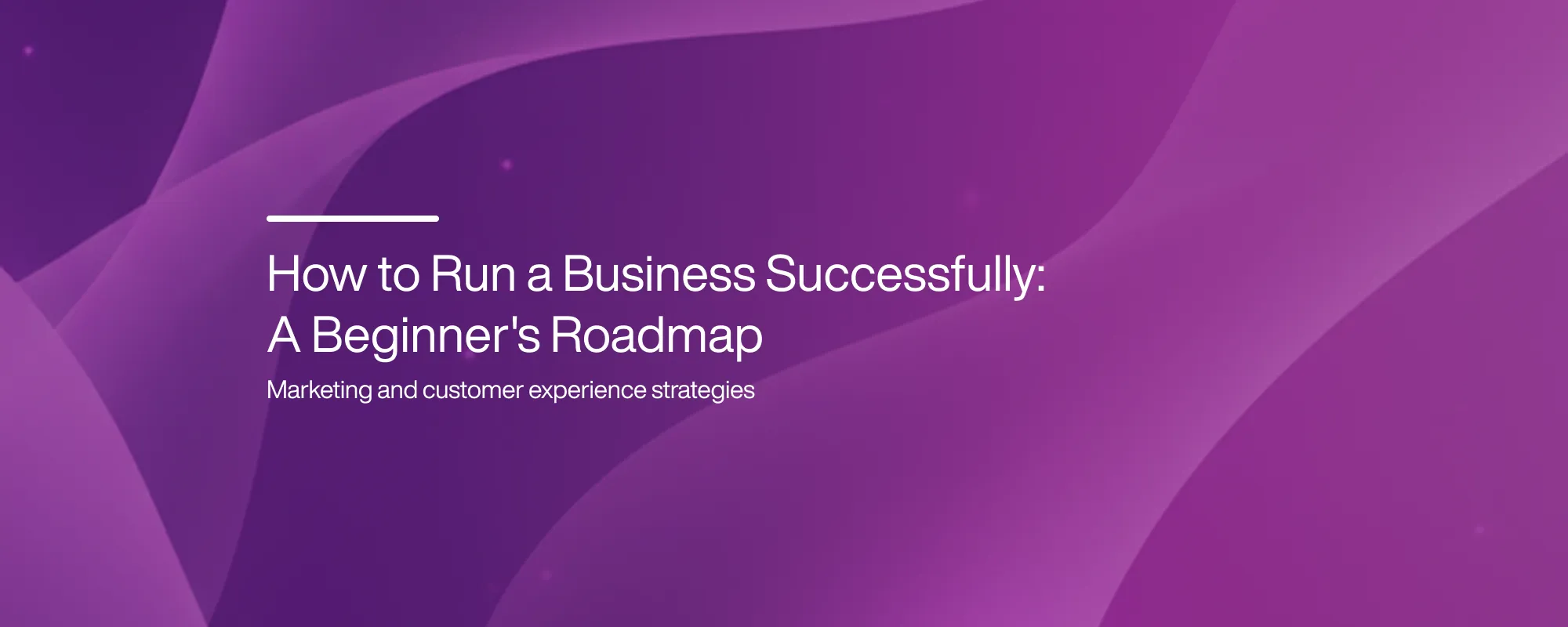 How to Run a Business Successfully: A Beginner's Roadmap