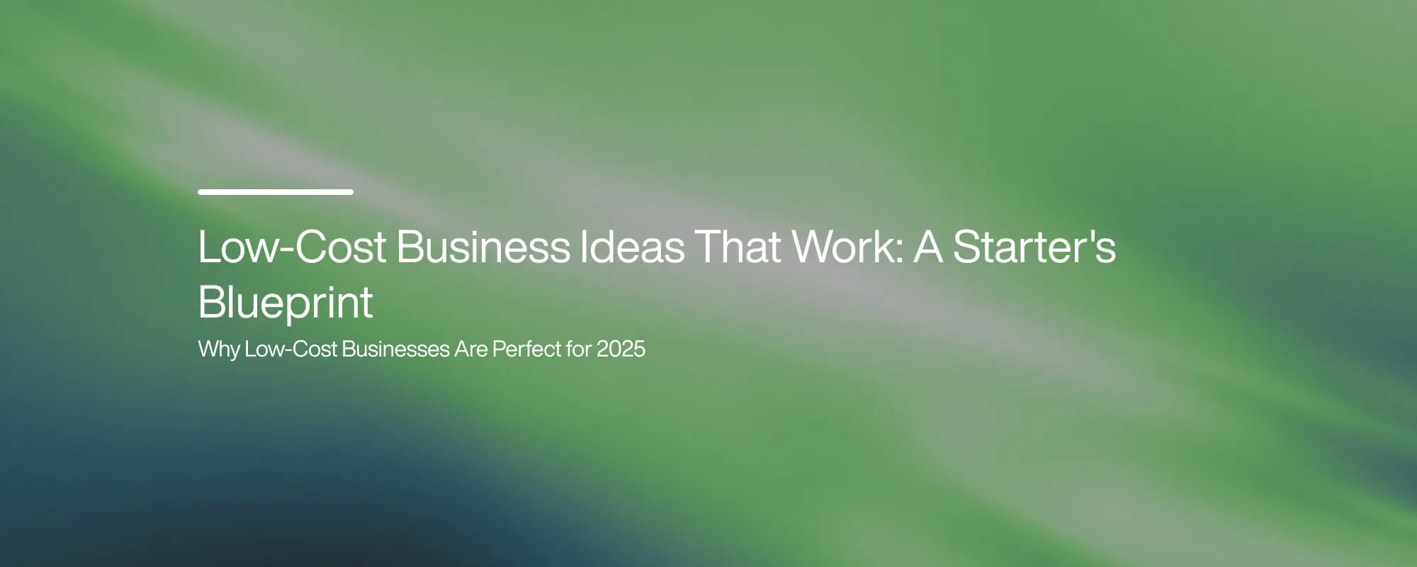 Low-Cost Business Ideas That Work: A Starter's Blueprint