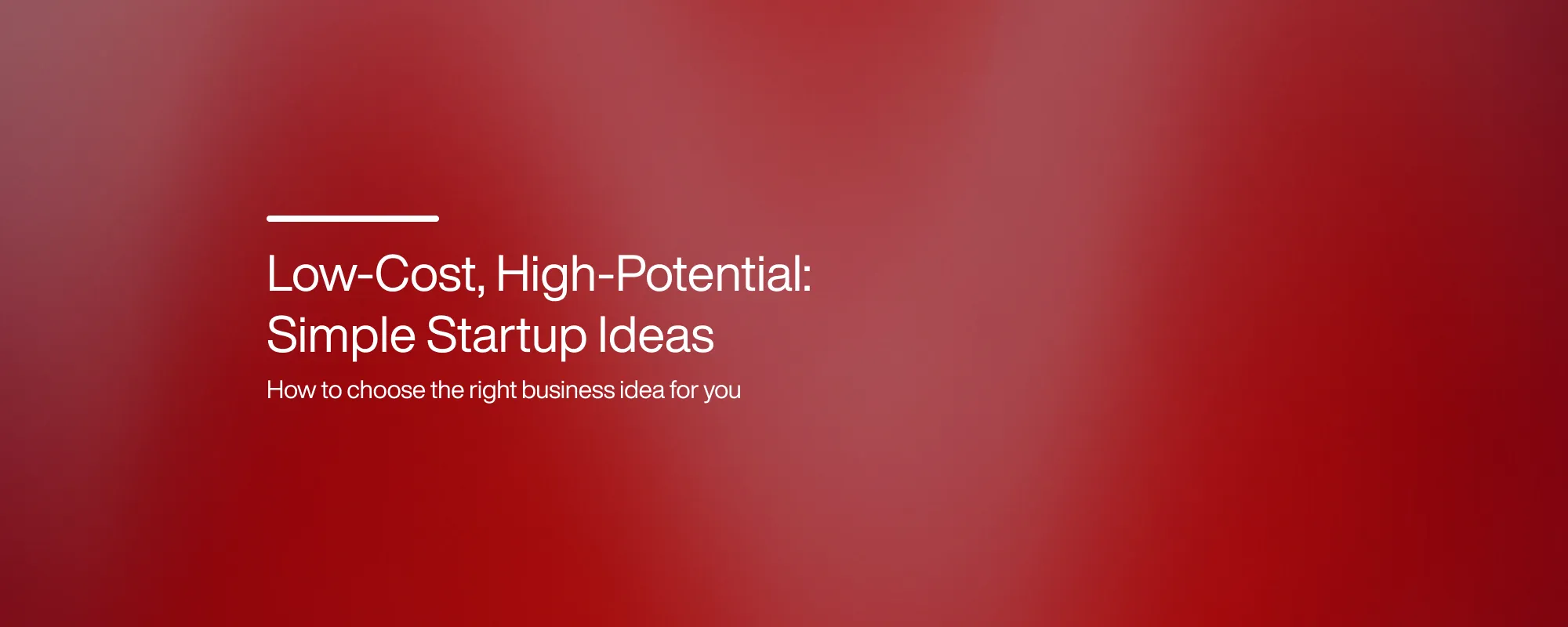 Low-Cost, High-Potential: Simple Startup Ideas
