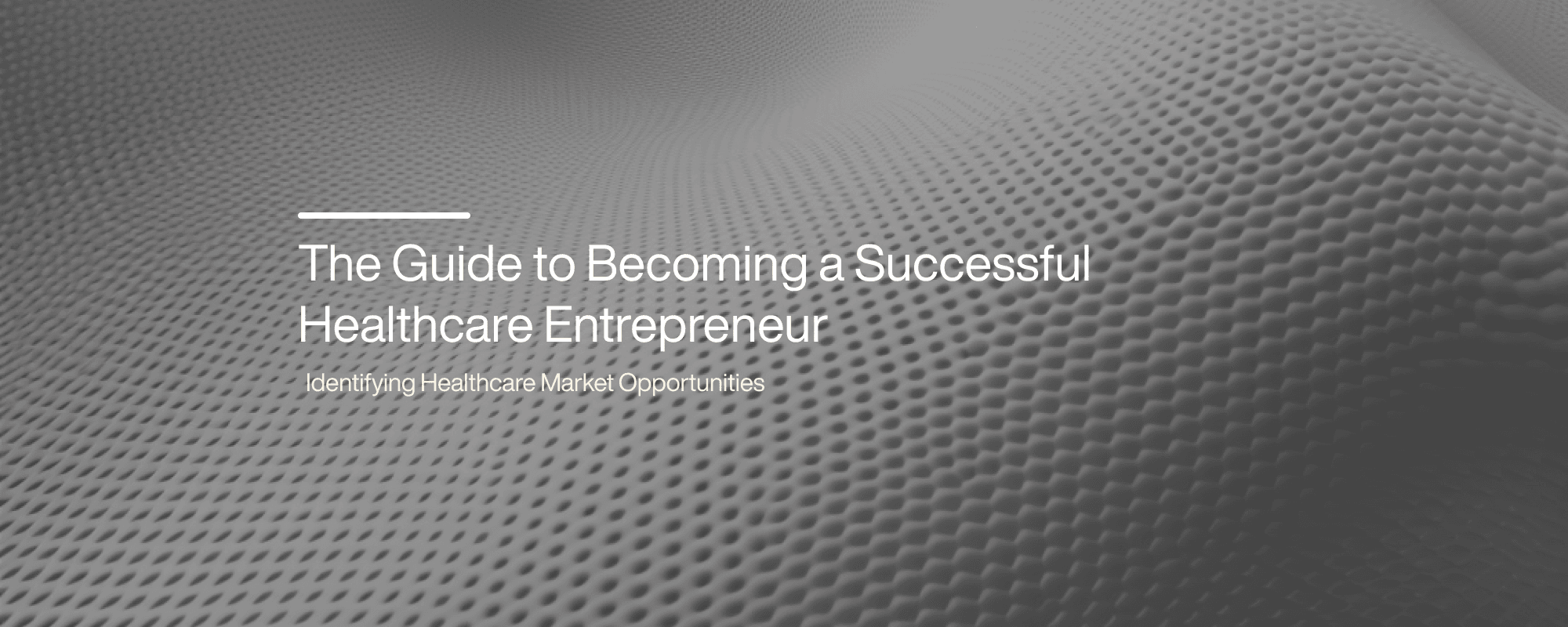 The Guide to Becoming a Successful Healthcare Entrepreneur