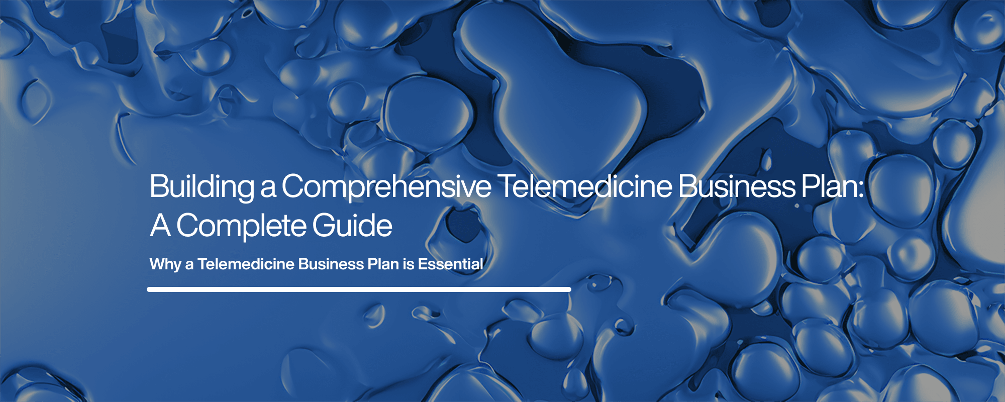 Developing a Telemedicine Business Plan